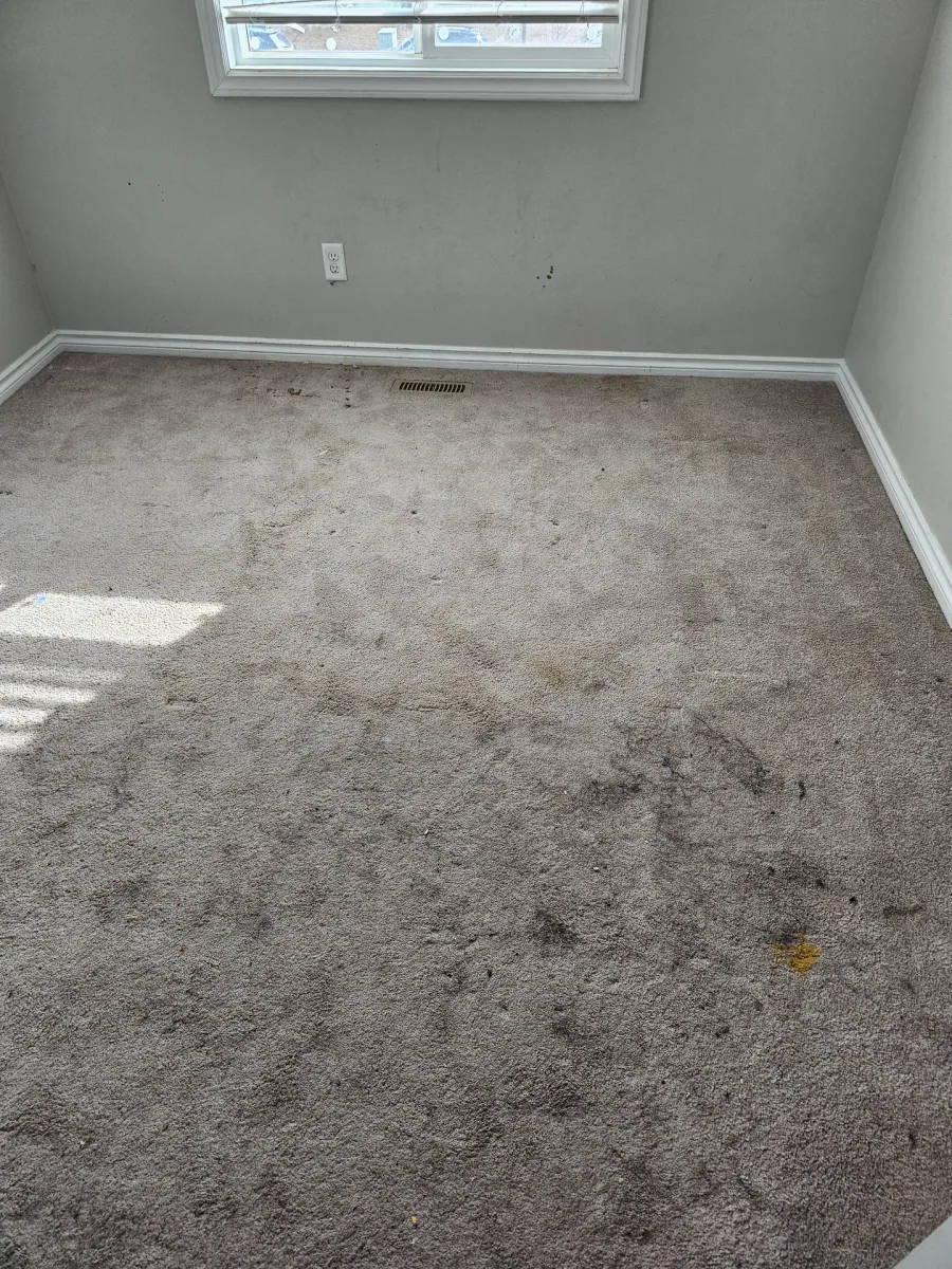 Before: Stained bedroom carpet