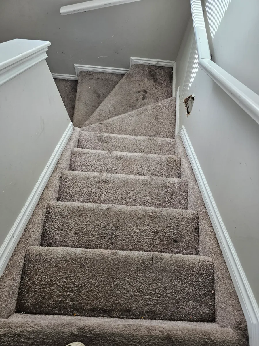 Before: Staircase Carpet Clean