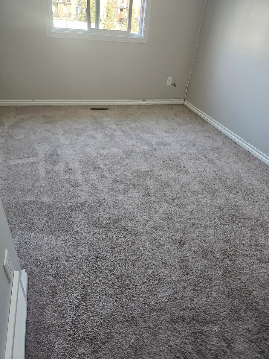 Residential cleaning service