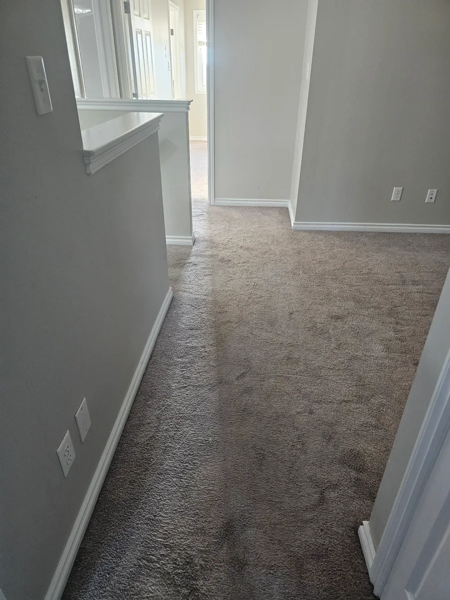 Clean carpeted hallway and rooms after residential cleaning service in Edmonton