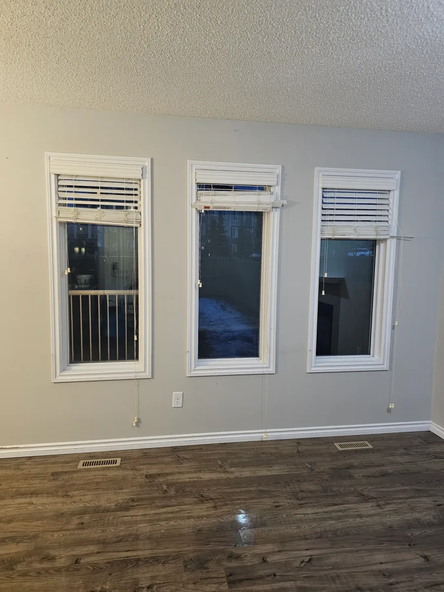 Post-construction cleaning service