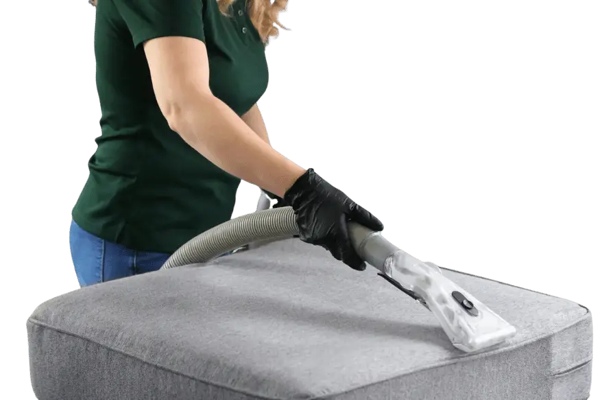 Kanians Pro Clean professional cleaning technician